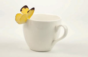بسته بندی خلاق چای یکنفره