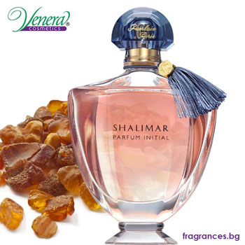 عطر مناسب برای فصل پاییز