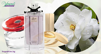 عطر مناسب برای فصل تابستان